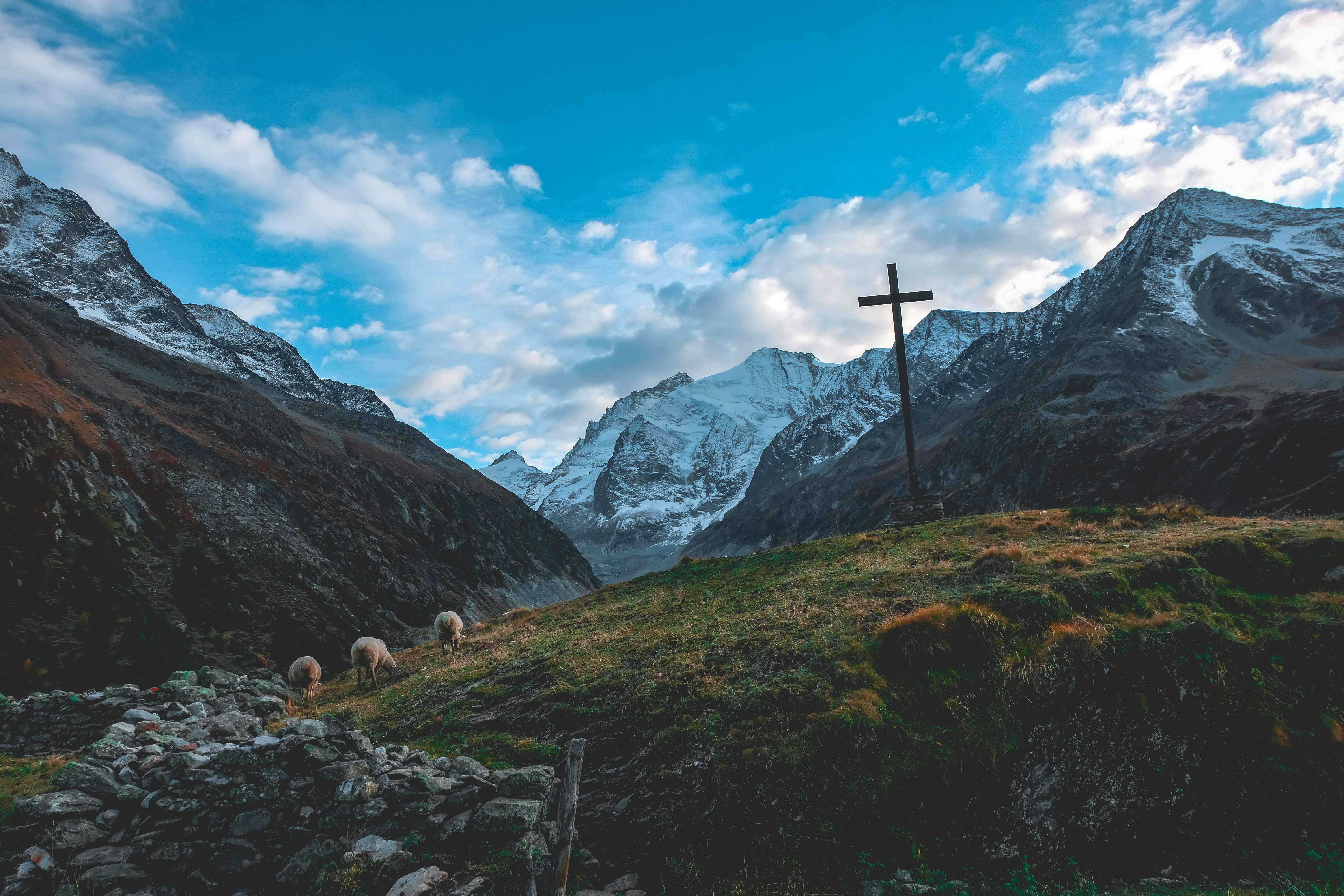 photography of mountain valley with sheeps and cross